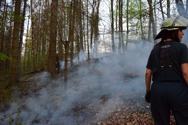 Über 100 m² Waldboden stand in Flammen.