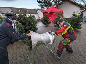 Gut verpackt kann man sich seinen Baum auch nach Hause liefern lassen