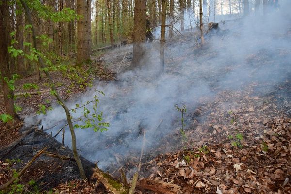 In einem Steilhang im Wald brannte es.